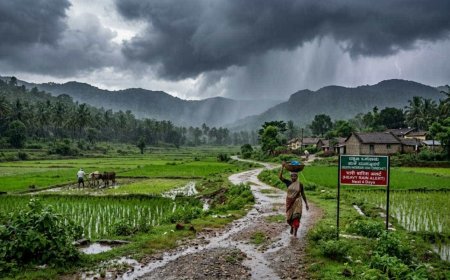 Karnataka Weather Forecast: ಮುಂದಿನ 3-4 ದಿನ ರಾಜ್ಯಾದ್ಯಂತ ಭಾರೀ ಮಳೆ, ಯೆಲ್ಲೋ ಅಲರ್ಟ್​ ಘೋಷಣೆ!